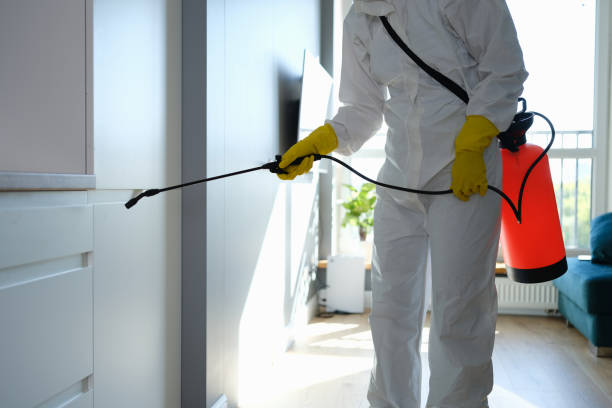 Mold Remediation for Rental Properties in St Anne, IL