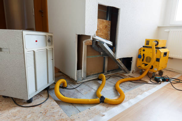 Best Environmental Consulting for Mold Prevention  in St Anne, IL